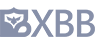 XXB